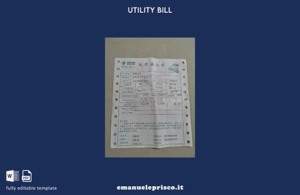 modello di photolook per bolletta elettrica della China State Grid Corporation o